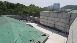 �������̹���