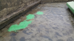 �������̹���