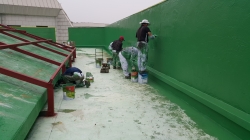 �������̹���