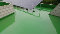 �������̹���