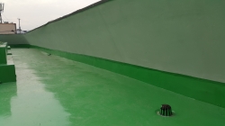 �������̹���