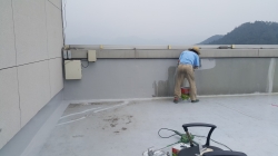 �������̹���