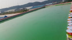 �������̹���