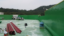 �������̹���