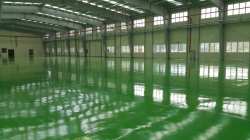 �������̹���