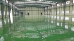 �������̹���