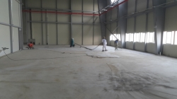 �������̹���