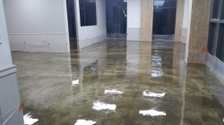 �������̹���