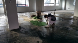 �������̹���